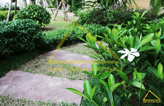 انتخاب گیاهان مناسب برای محوطه سازی حیاط