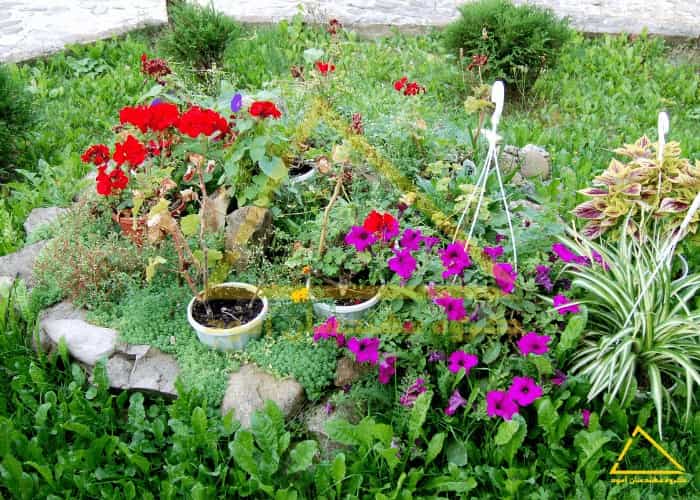 حیاط سازی منزل با کمترین هزینه