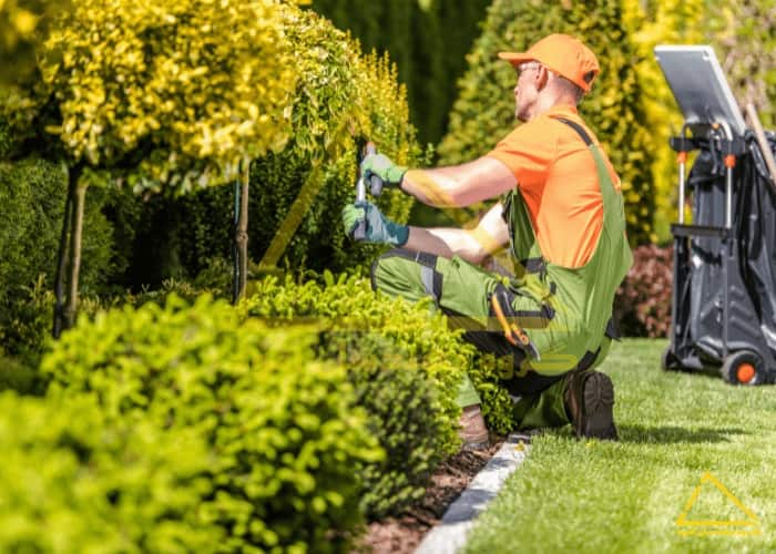 محوطه سازی ویلاهای کوچک